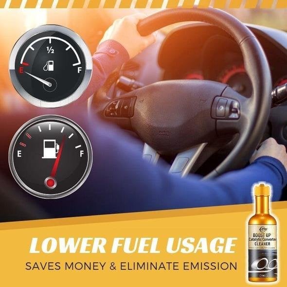 Catalytic Converter Cleaner